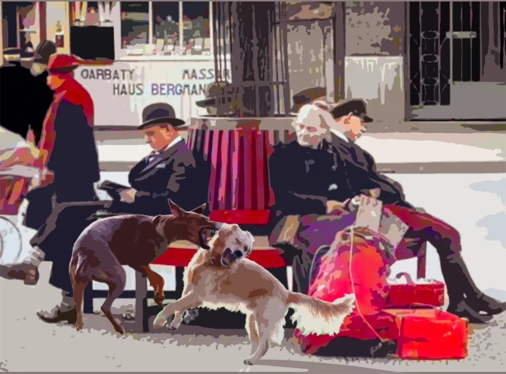 Hunde